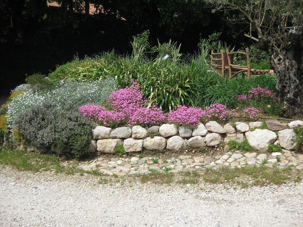 Agriturismo Campagnoletto Cavriana المظهر الخارجي الصورة