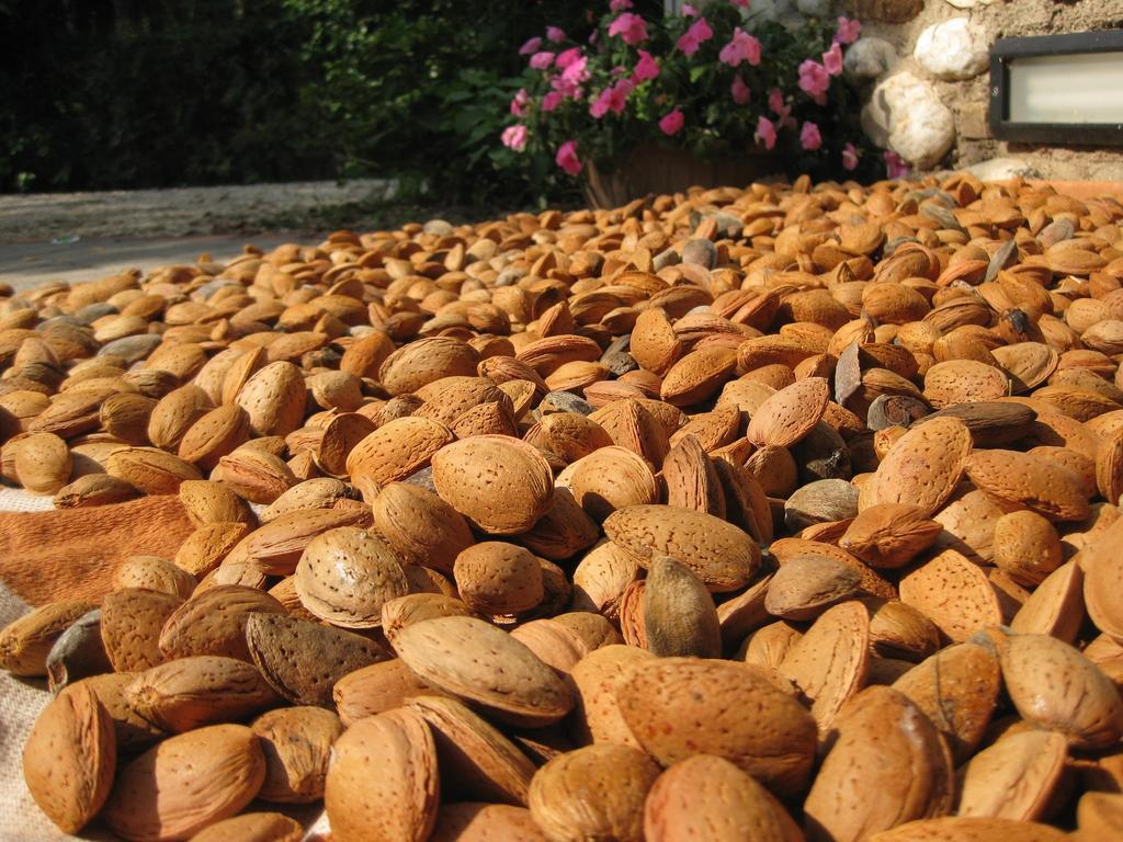 Agriturismo Campagnoletto Cavriana المظهر الخارجي الصورة