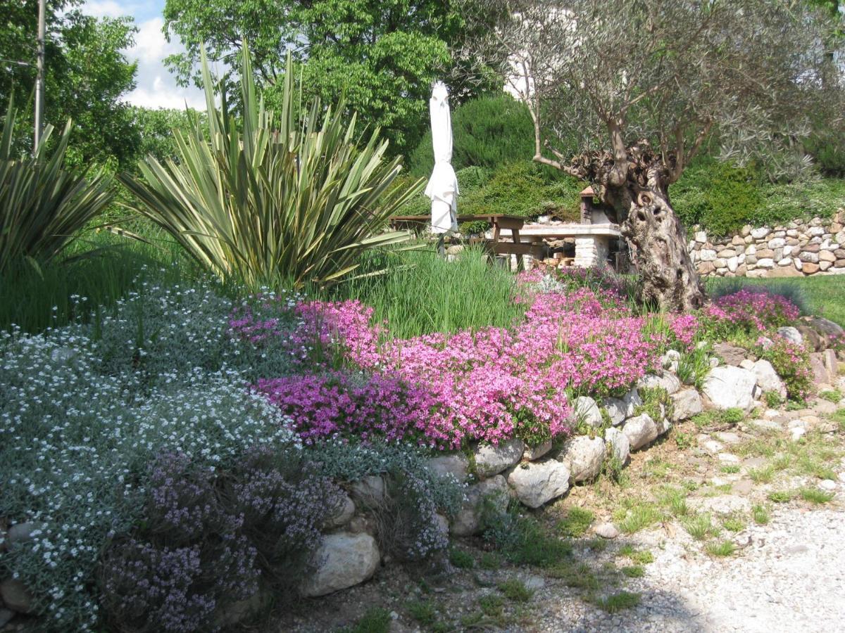 Agriturismo Campagnoletto Cavriana المظهر الخارجي الصورة